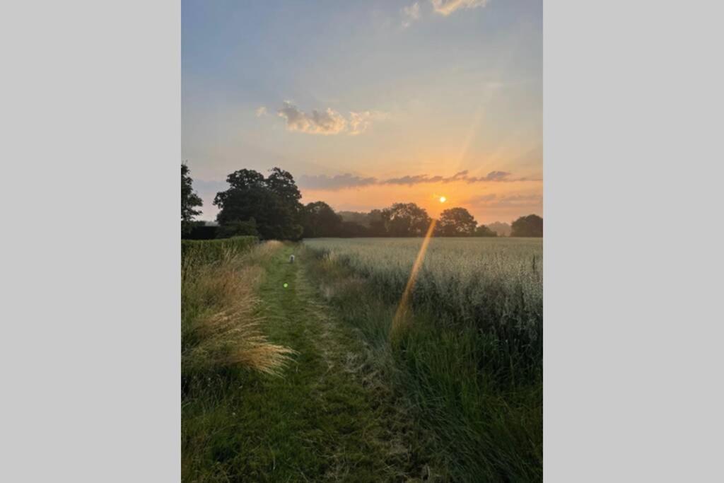 Immaculate Barn Annexe Close To Stansted Airport グレート・ダンモウ エクステリア 写真