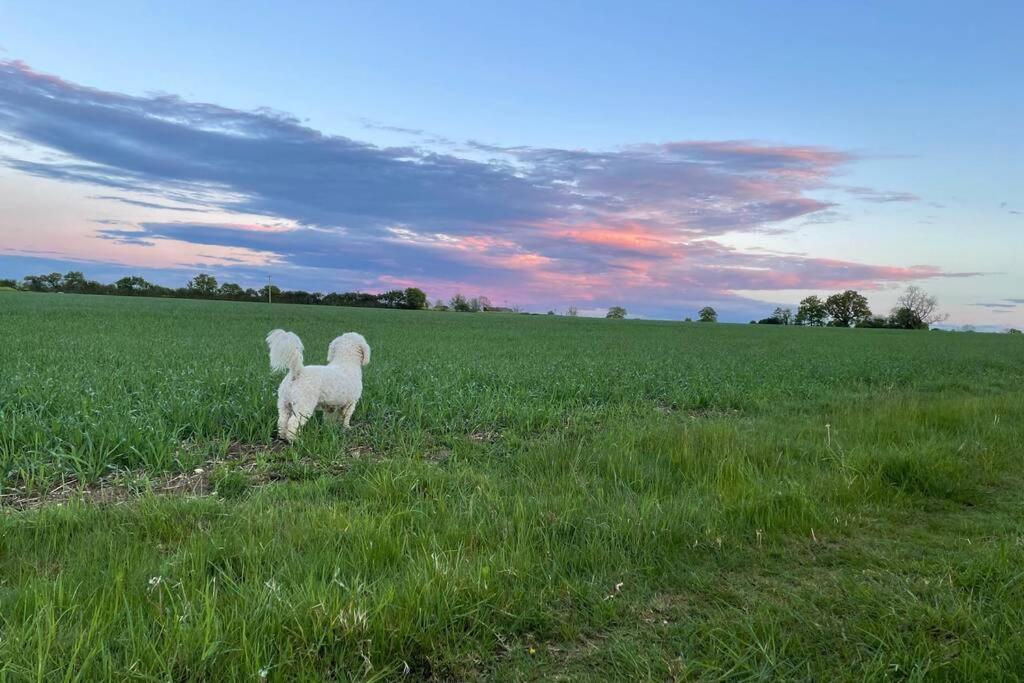 Immaculate Barn Annexe Close To Stansted Airport グレート・ダンモウ エクステリア 写真